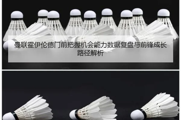 img_1782646419183_1126_1_894.jpg