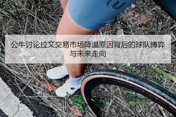 公牛讨论拉文交易市场降温原因背后的球队博弈与未来走向